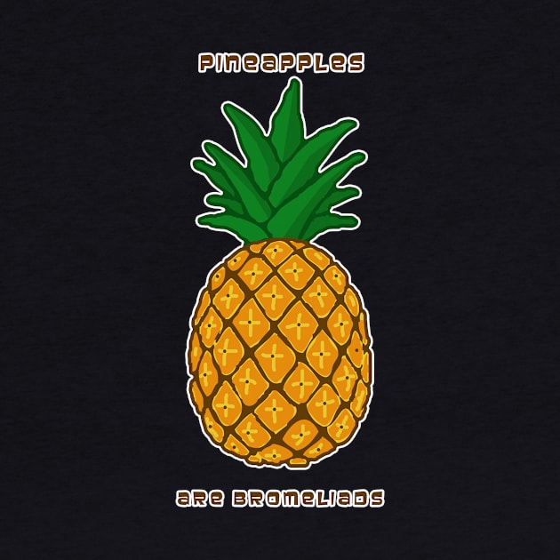 Pineapples Are Bromeliads by headrubble